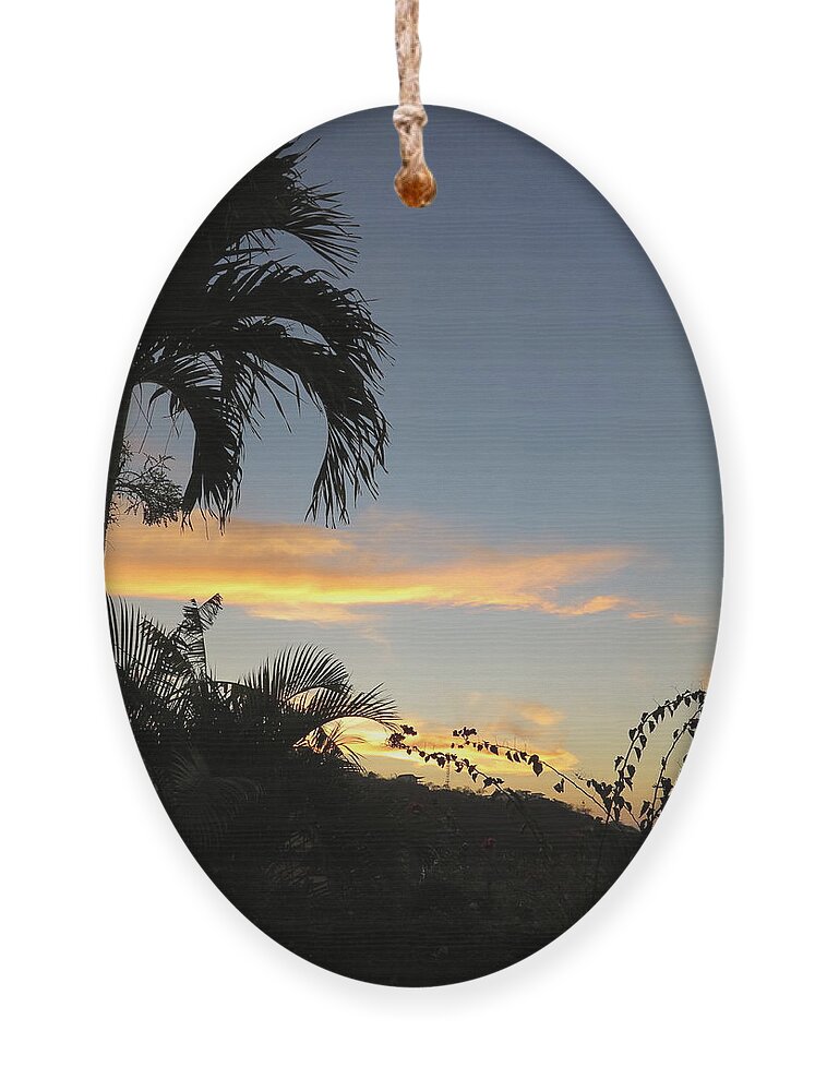 Palm Tree Ornament featuring the photograph Vacation by Jessica Myscofski