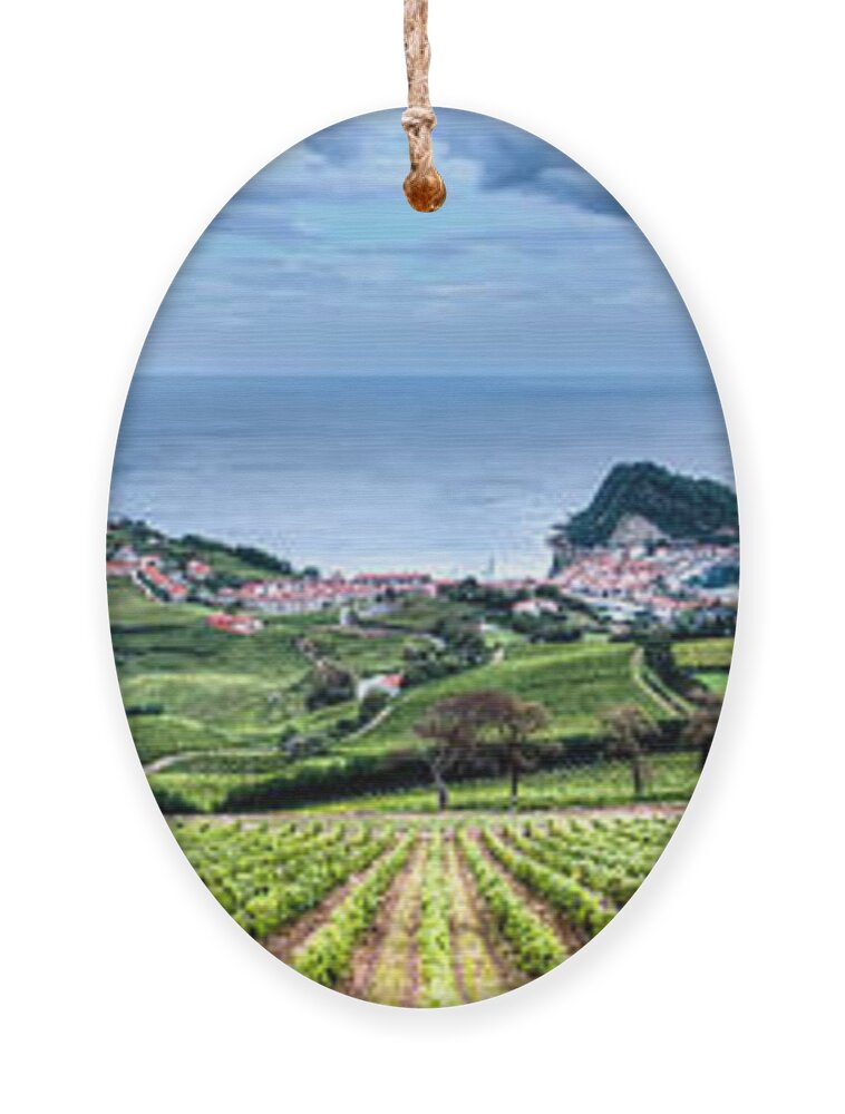 Getaria Vineyards Ornament featuring the photograph Vineyards by the Sea by Weston Westmoreland