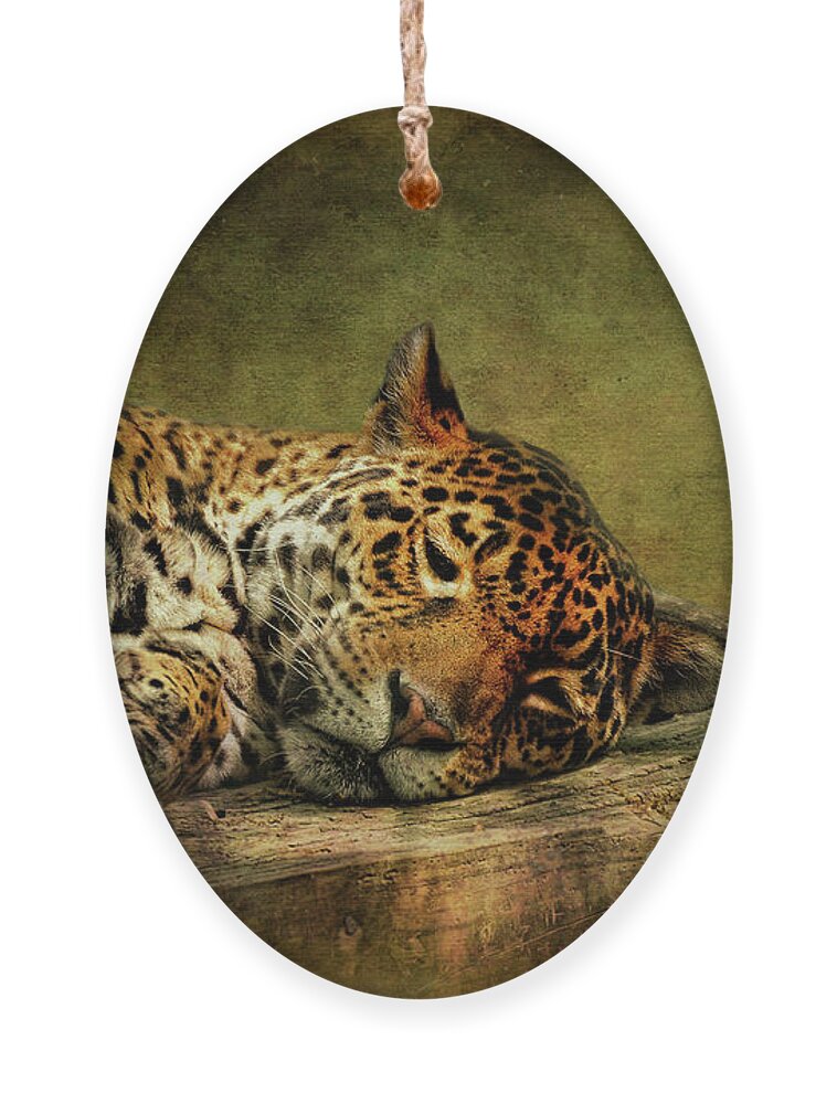 Leopard Ornament featuring the photograph Wake Up Sleepyhead by Lois Bryan
