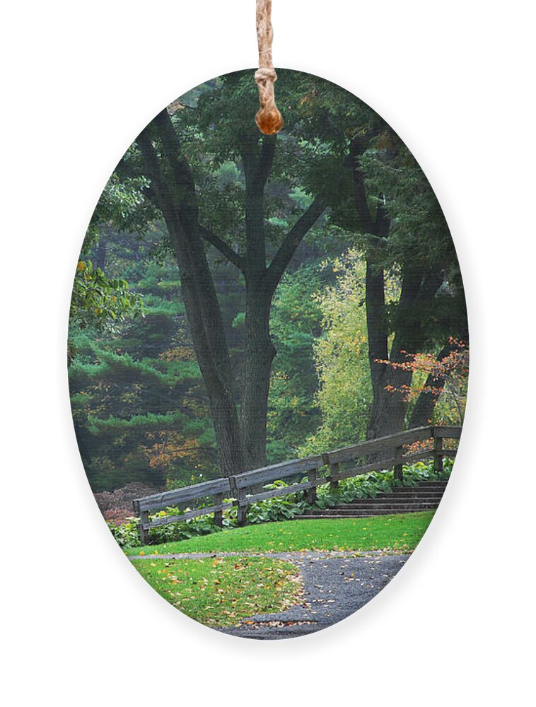 Fall Ornament featuring the photograph Walk in the Park by Christina Rollo