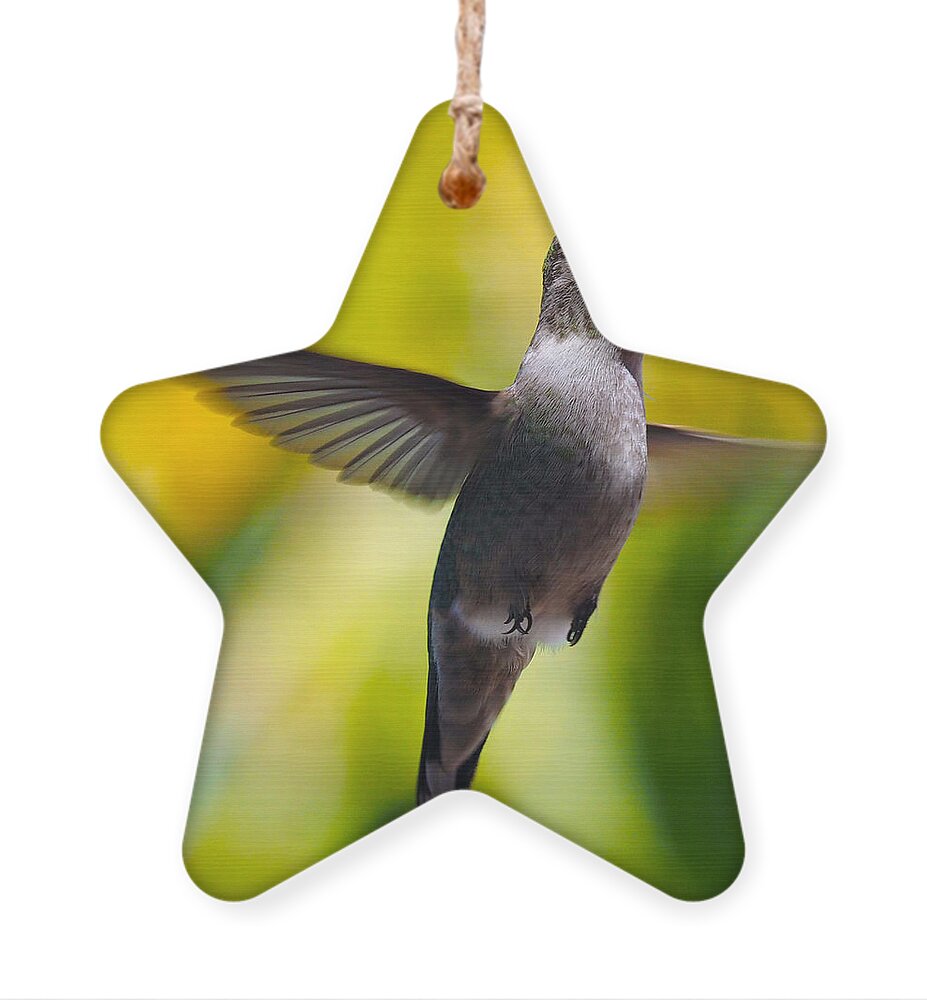 Hummingbirds Ornament featuring the photograph Watching You by Joe Schofield