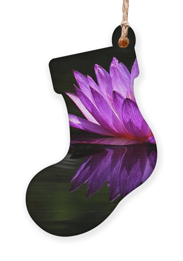 Flower Ornament featuring the photograph Water Lily Reflection by Sabrina L Ryan