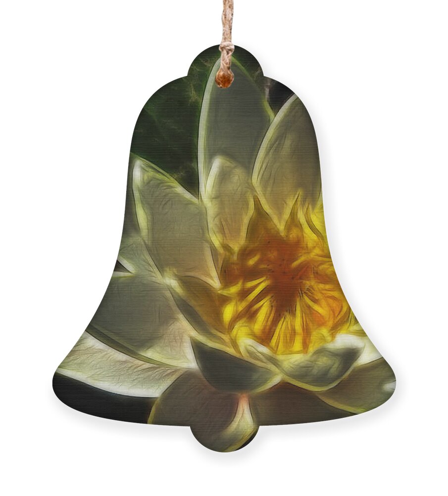 Lily Ornament featuring the photograph Water Lily by Yvonne Johnstone
