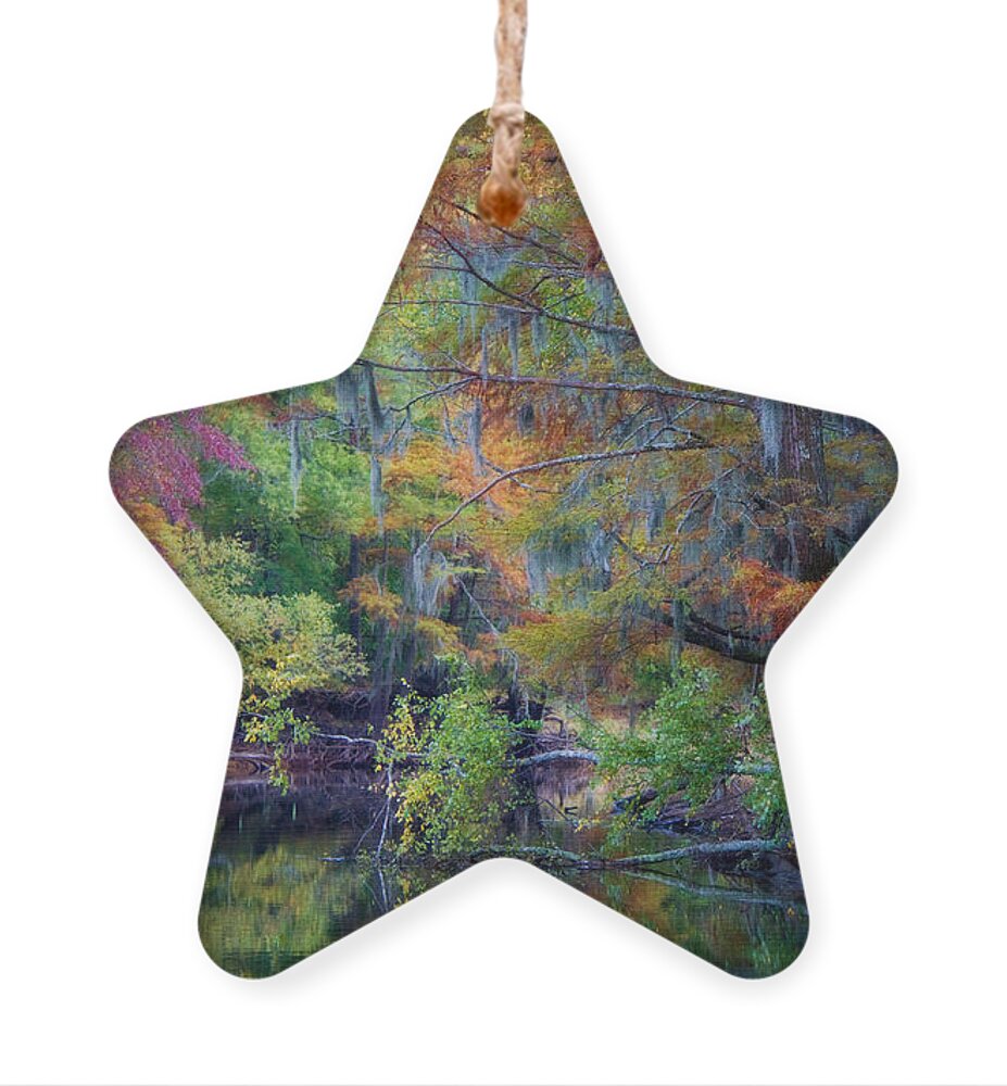 Uncertain Ornament featuring the photograph Watercolors by Lana Trussell