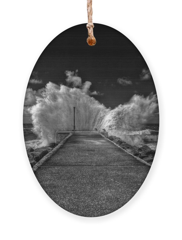 Castlerock Ornament featuring the photograph Wave at Castlerock by Nigel R Bell