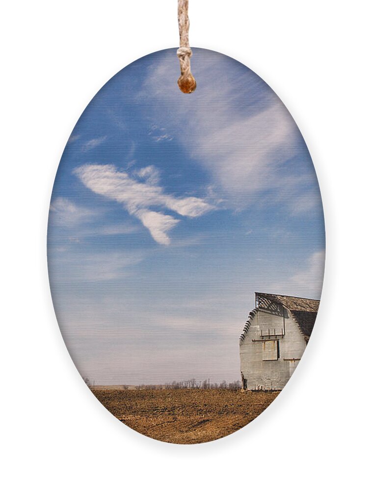 Jet Ornament featuring the photograph Weathered by Lana Trussell