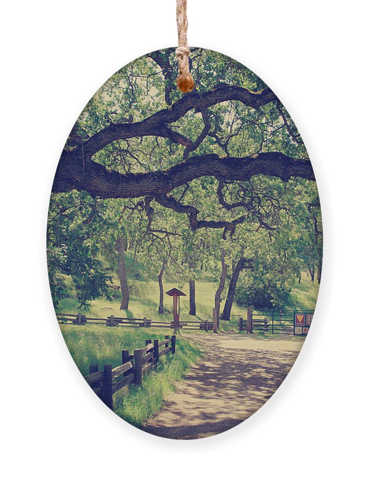 Mt. Diablo State Park Ornament featuring the photograph Welcoming by Laurie Search