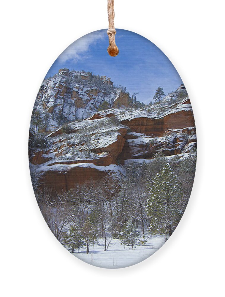 Winter Ornament featuring the photograph Westfork Captivates by Tom Kelly