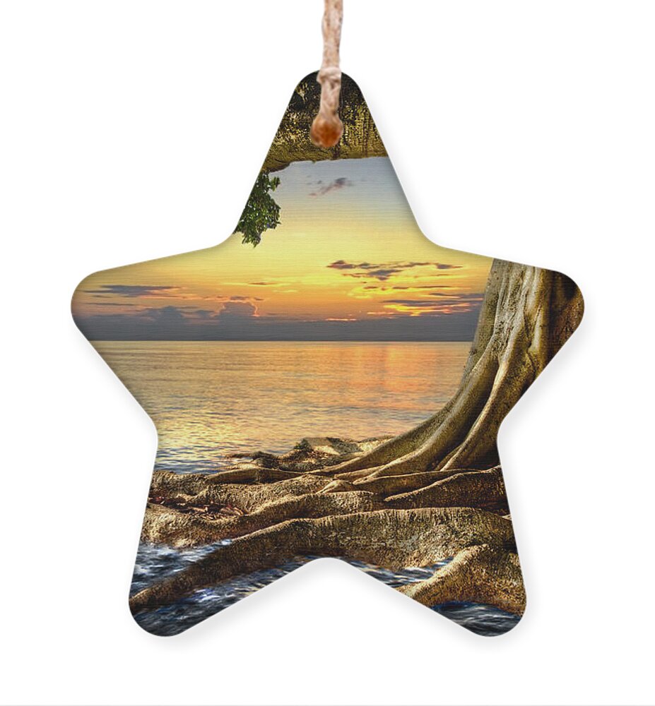 Fine Ornament featuring the photograph Wet Dreams by Debra and Dave Vanderlaan