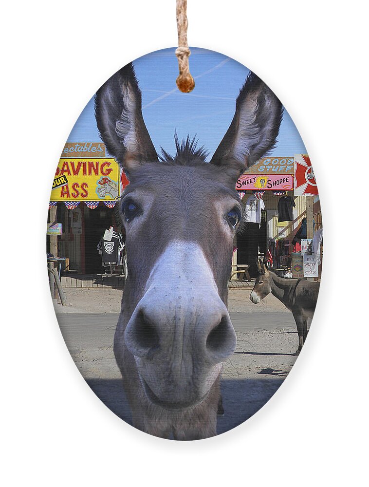 Donkey Ornament featuring the photograph What . . . No Carrots by Mike McGlothlen