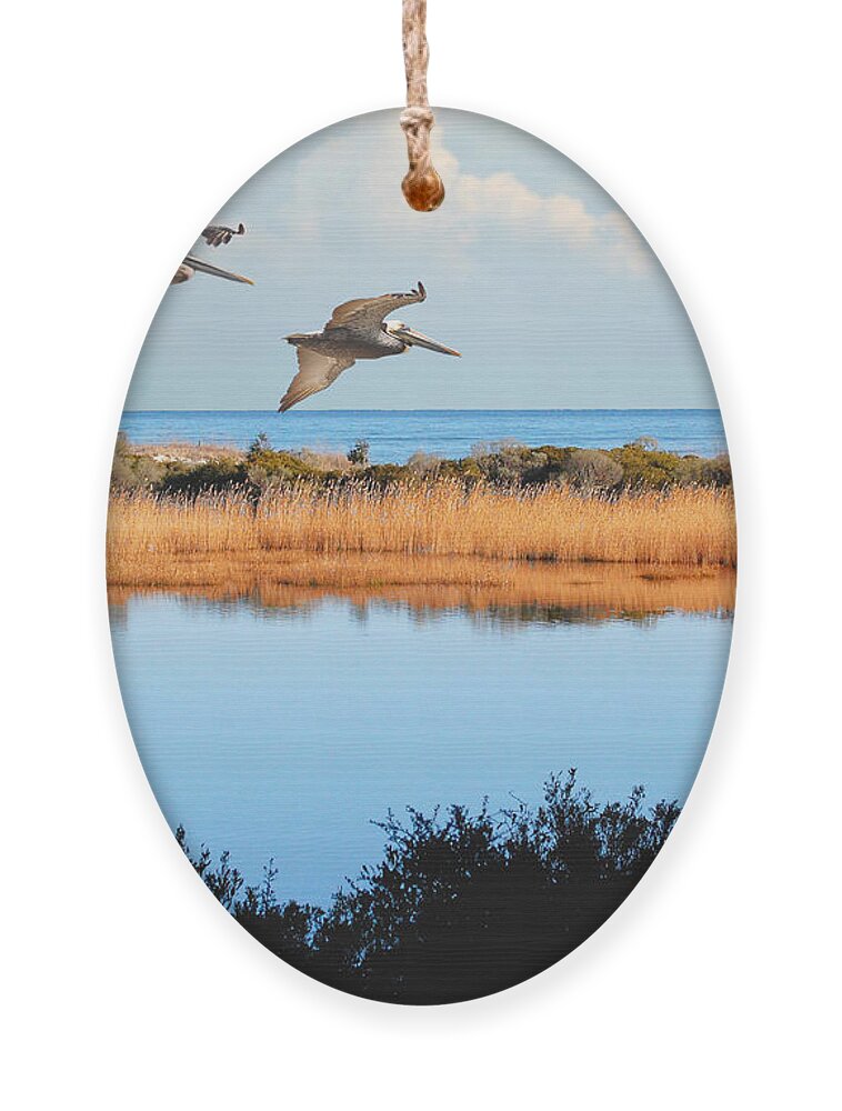 Pelicans Ornament featuring the photograph Where The Marsh Meets The Atlantic by Kathy Baccari