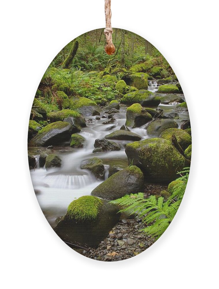 Water Ornament featuring the photograph Where The Song Flows Into A Dream by Jeff Swan