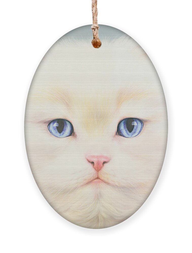 #faatoppicks Ornament featuring the photograph White Persian by MGL Meiklejohn Graphics Licensing