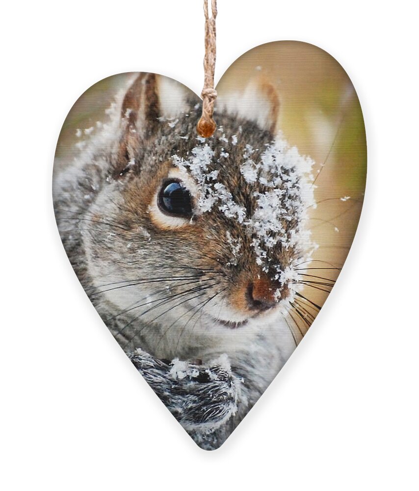 Winter Ornament featuring the photograph Wild Expedition by Christina Rollo