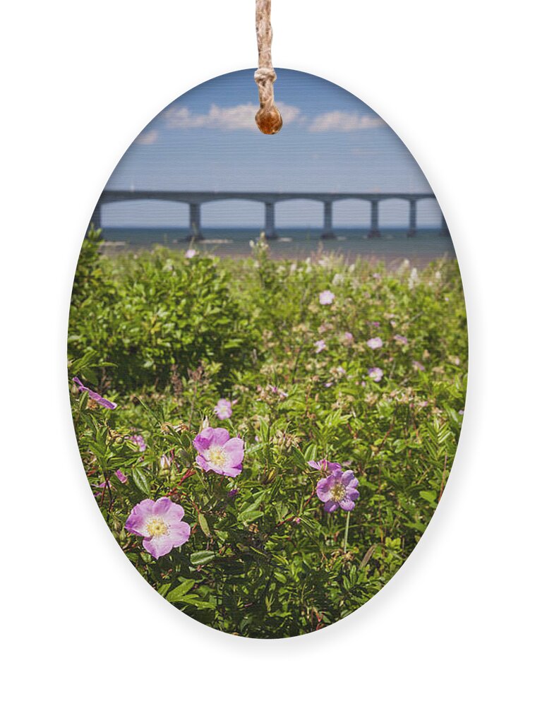 Wild Ornament featuring the photograph Wild roses at Confederation Bridge by Elena Elisseeva