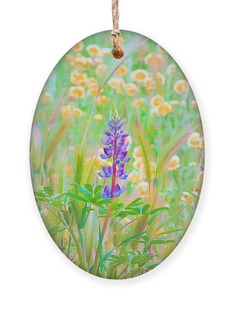 California Wildflowers Ornament featuring the photograph Wildflower Meadow - Spring in Central California by Ram Vasudev