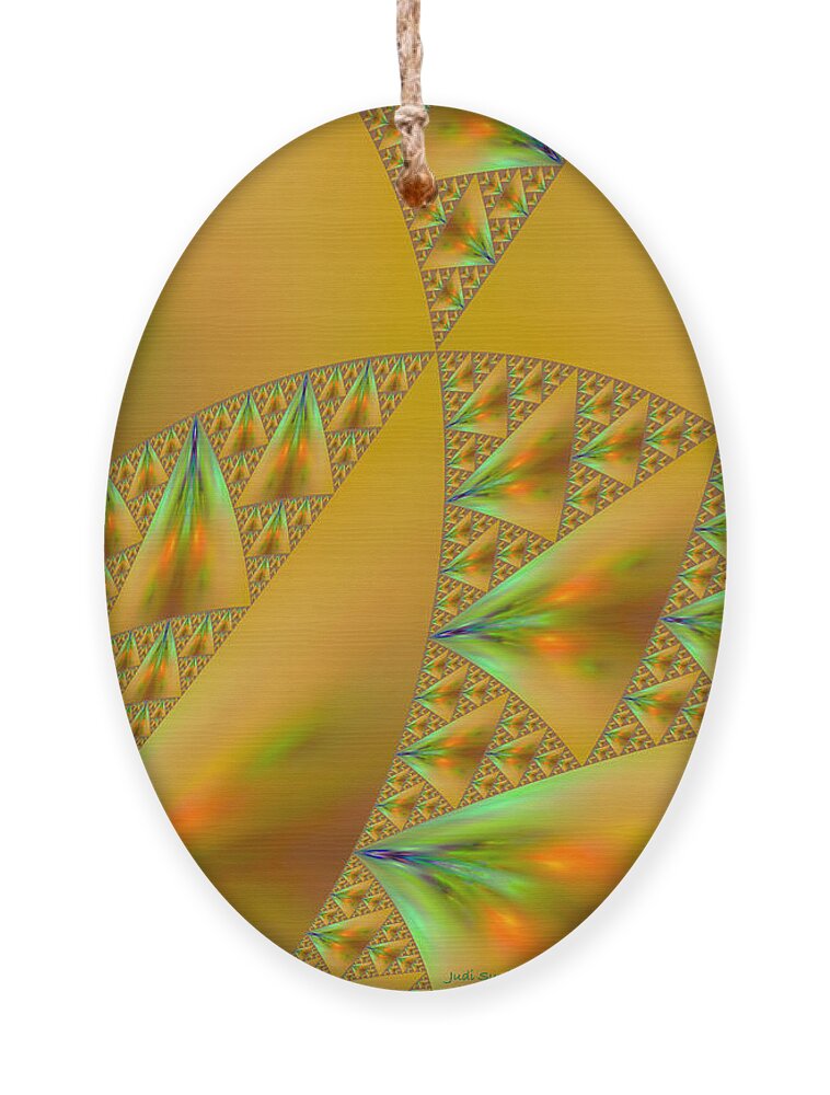 Abstract Ornament featuring the photograph Windsurfing by Judi Suni Hall