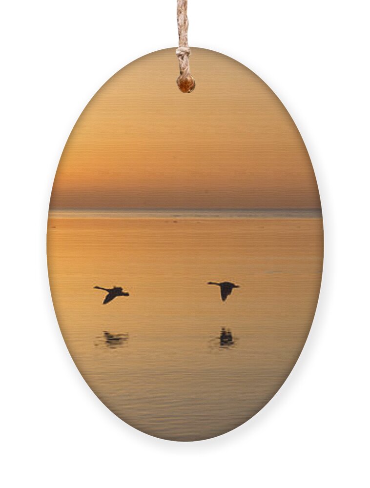 Flying Geese Ornament featuring the photograph Wings at Sunrise by Georgia Mizuleva