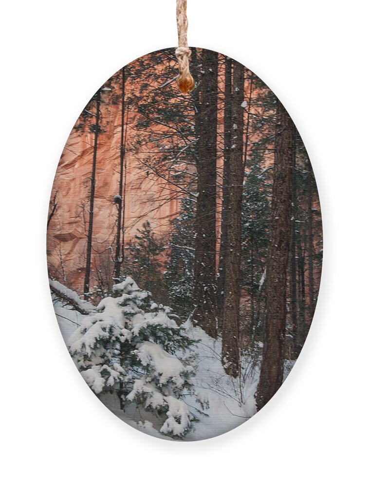 Snow Ornament featuring the photograph Winter Enchantment by Tam Ryan
