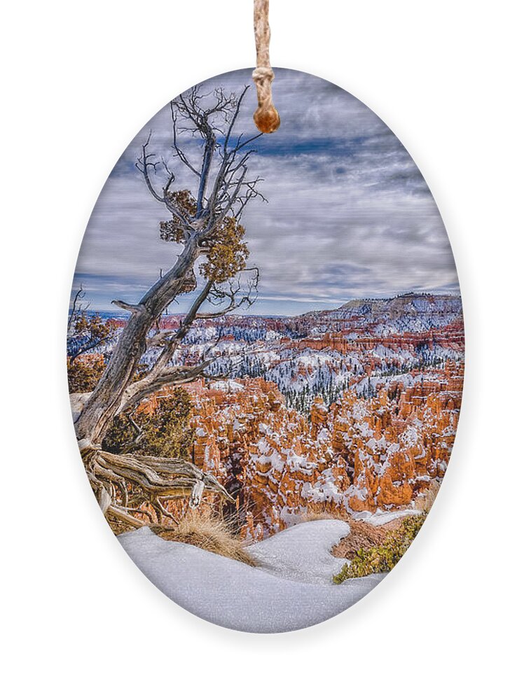 Christopher Holmes Photography Ornament featuring the photograph Winter In Bryce Canyon by Christopher Holmes