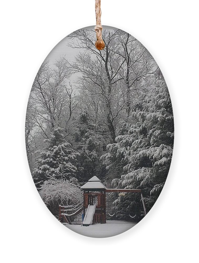 Winter Ornament featuring the photograph Winter In Swing by Dani McEvoy