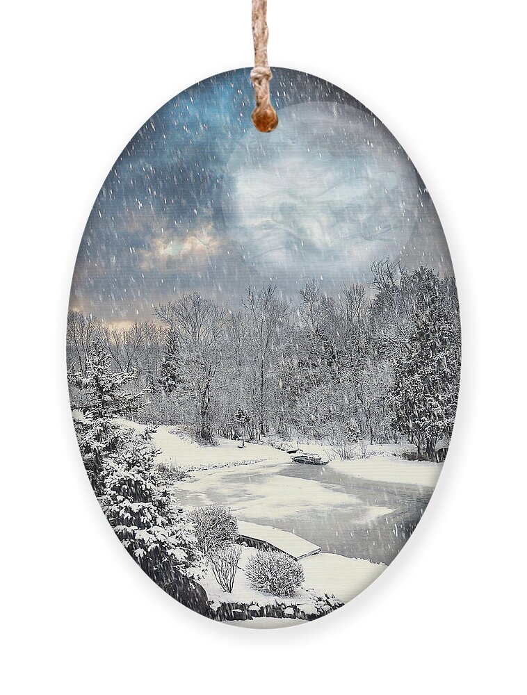 Winter Picture Ornament featuring the photograph Winter Mystic Night by Gwen Gibson
