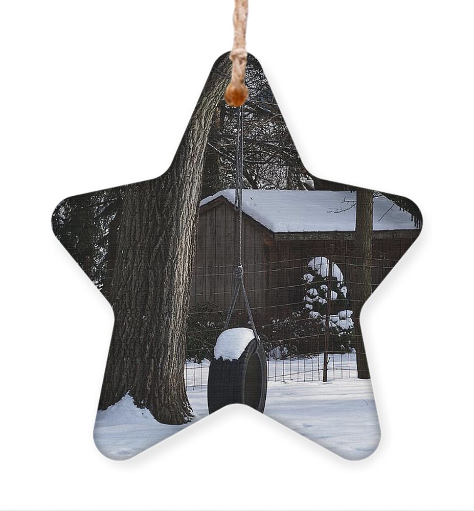 Color Ornament featuring the photograph Winter Tire Swing by Frank J Casella