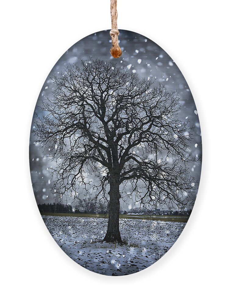 Lonely Ornament featuring the photograph Winter tree in snowfall by Elena Elisseeva