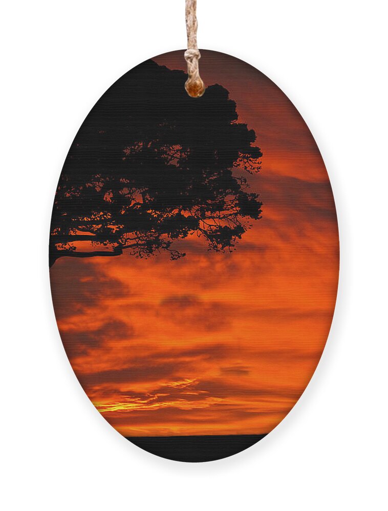 Wolf Ornament featuring the photograph Wolf Calling For Mate Sunset Silhouette Series by David Dehner