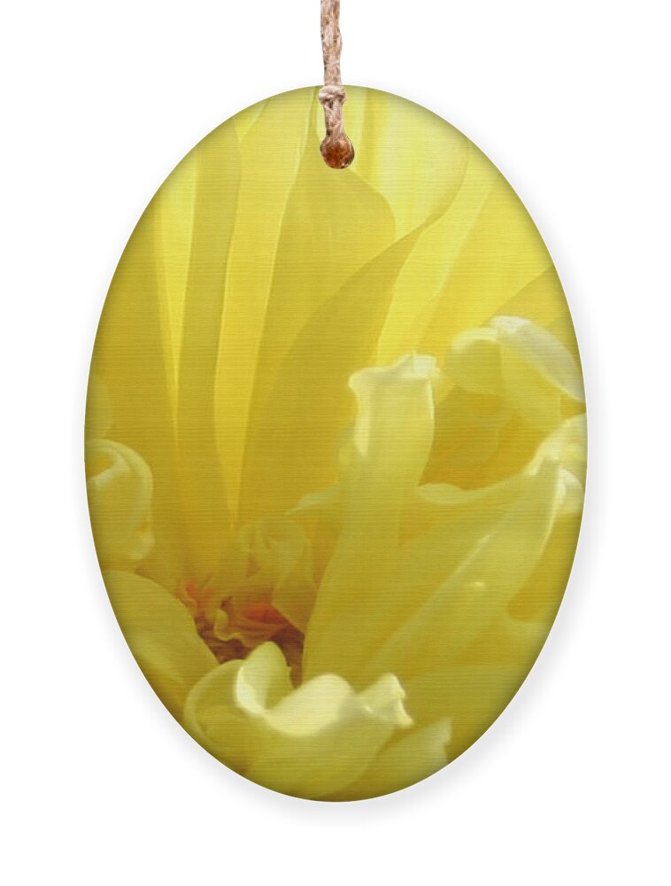 Floral Abstract Ornament featuring the photograph Yellow Dahlia Burst by Ben and Raisa Gertsberg