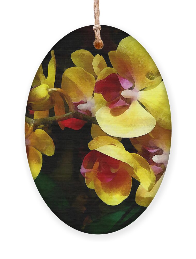 Orchid Ornament featuring the photograph Yellow Orchids Shadow and Light by Susan Savad