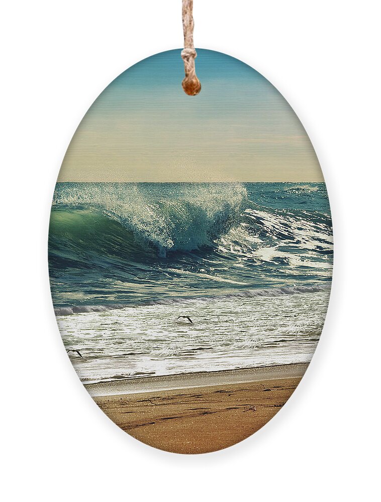 Beach Ornament featuring the photograph Your Moment Of Perfection by Laura Fasulo