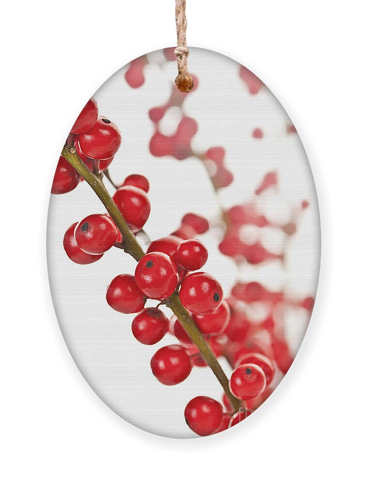 Berries Ornament featuring the photograph Red Christmas berries 1 by Elena Elisseeva