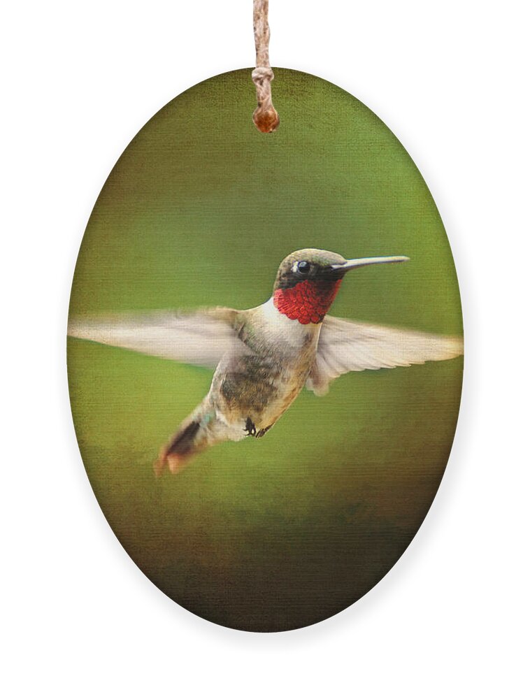Avian Ornament featuring the photograph Hummingbird in Flight #3 by Jai Johnson