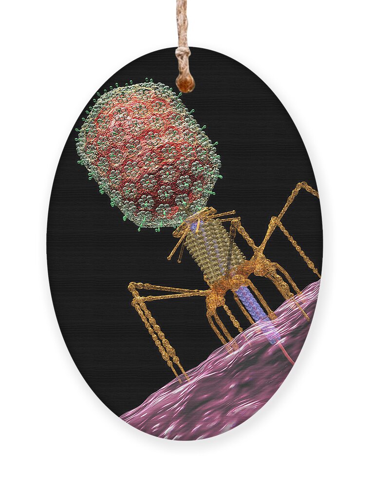 Bacteria Ornament featuring the digital art Bacteriophage T4 Injecting by Russell Kightley