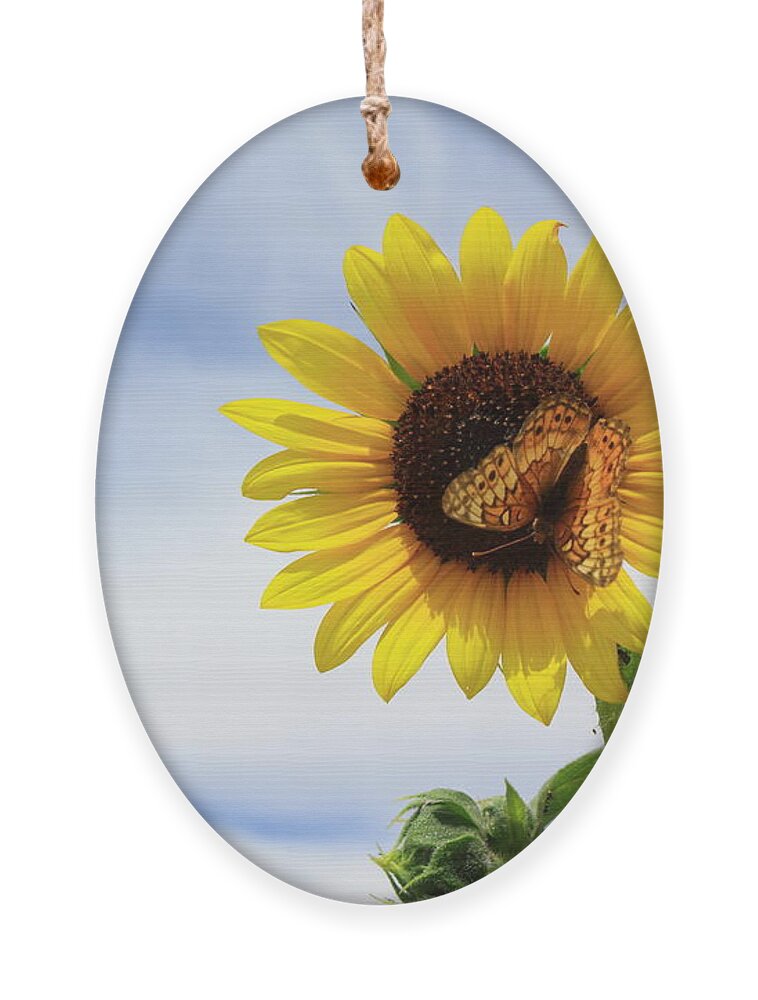 Sunflower Ornament featuring the photograph Butterfly on a Sunflower by Shane Bechler