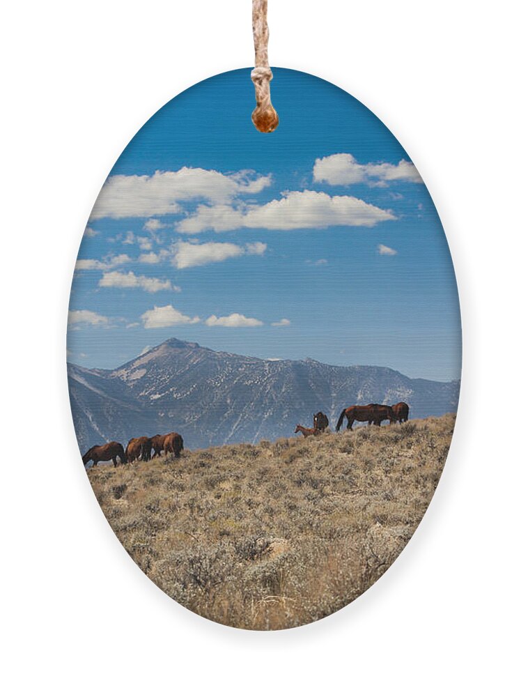 Landscape Ornament featuring the photograph Carson Valley band by John T Humphrey