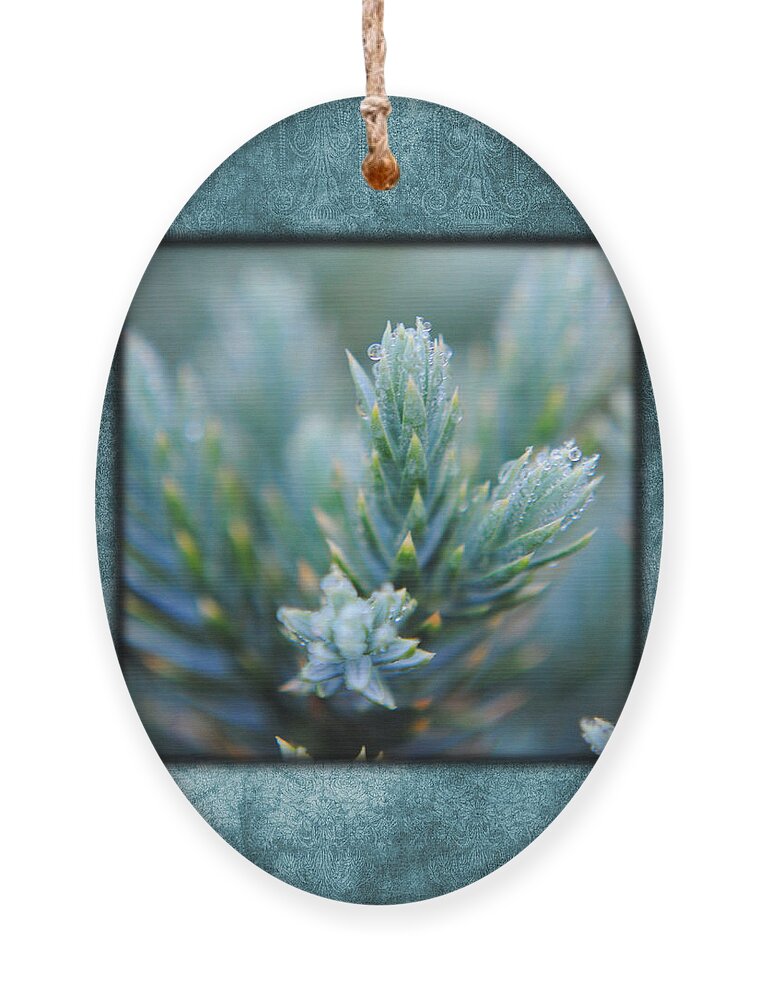 artistic Nature Photo Ornament featuring the photograph Dew on the Pine II Photo Square by Jai Johnson