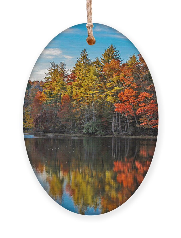 Foliage Ornament featuring the photograph Fall Reflection by Ronald Lutz