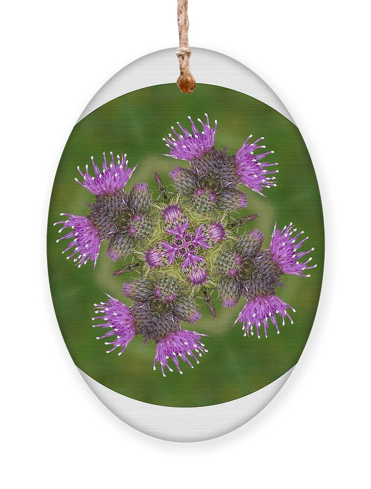 Scottish Thistle Ornament featuring the photograph Flower of Scotland by Lynn Bolt