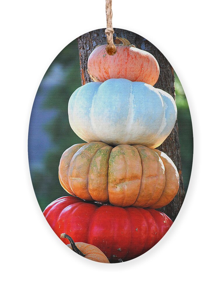Autumn Ornament featuring the photograph Four Pumpkins by Jai Johnson