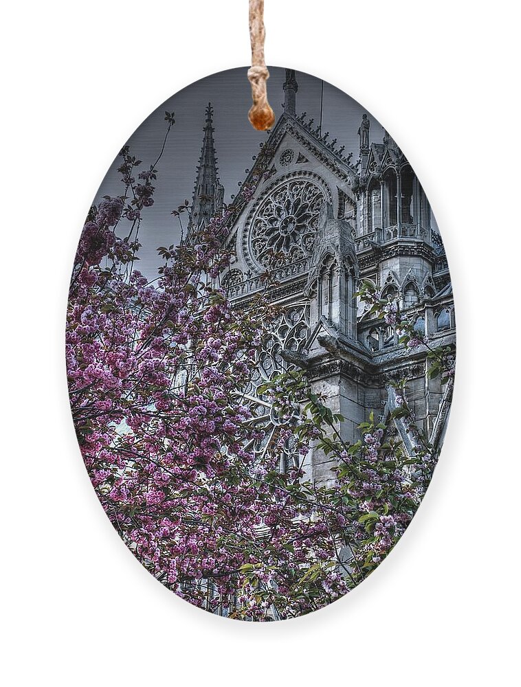 Notre Dame Ornament featuring the photograph Gothic Paris by Jennifer Ancker