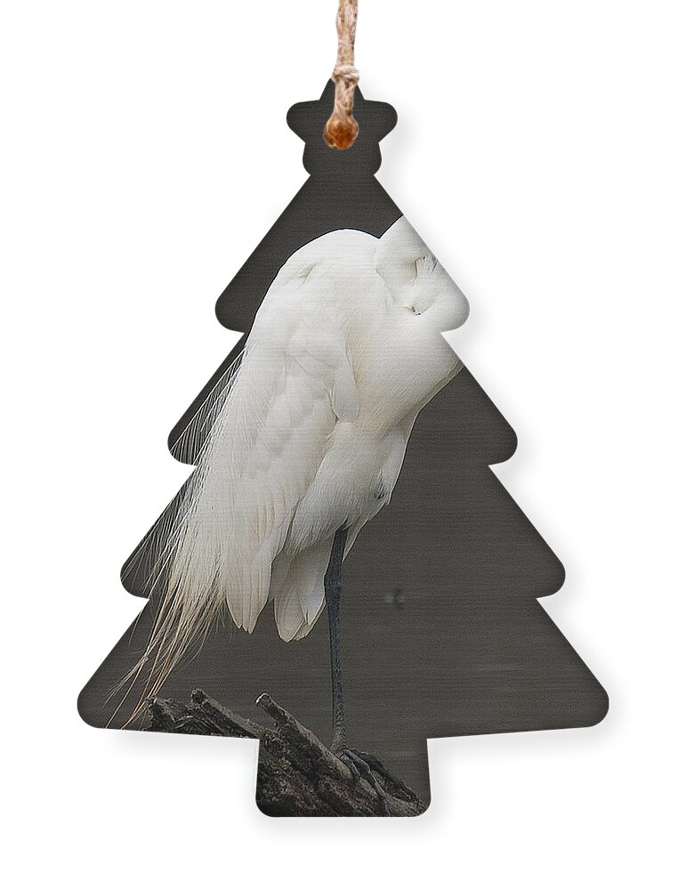 Marsh Ornament featuring the photograph Great Egret Resting DMSB0036 by Gerry Gantt