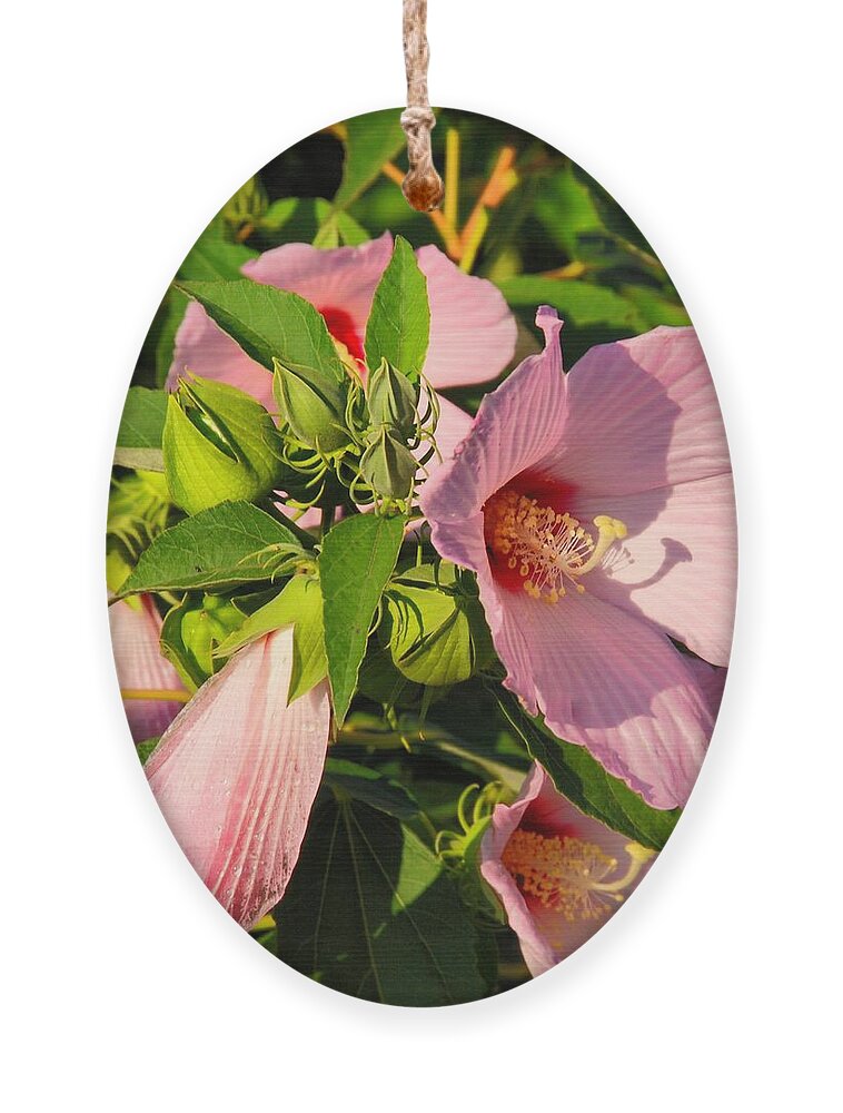 Hibiscus Ornament featuring the photograph Hibiscus In Summer by Angie Tirado