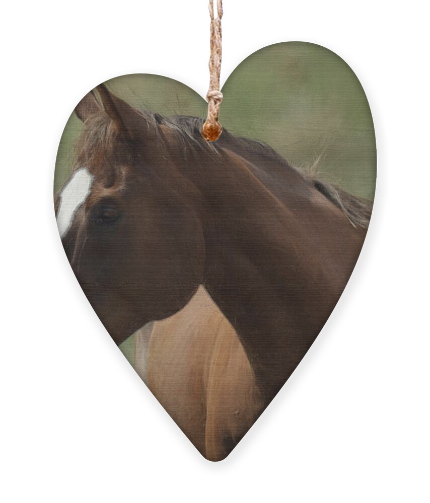 Horse Ornament featuring the digital art Horse Painterly by Ernest Echols