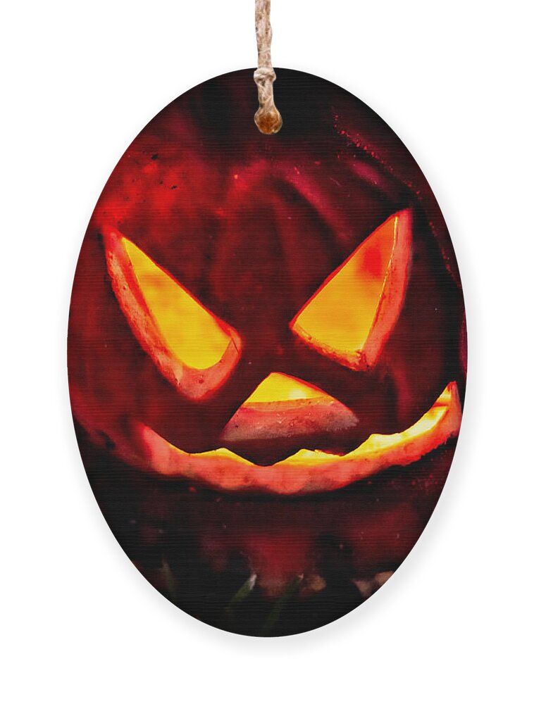 Halloween Ornament featuring the photograph Jack-O-Lantern by Christopher Holmes