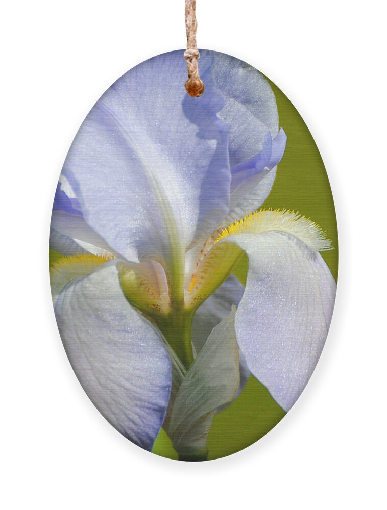 Beautiful Iris Ornament featuring the photograph Lilac Blue Iris Flower III by Jai Johnson
