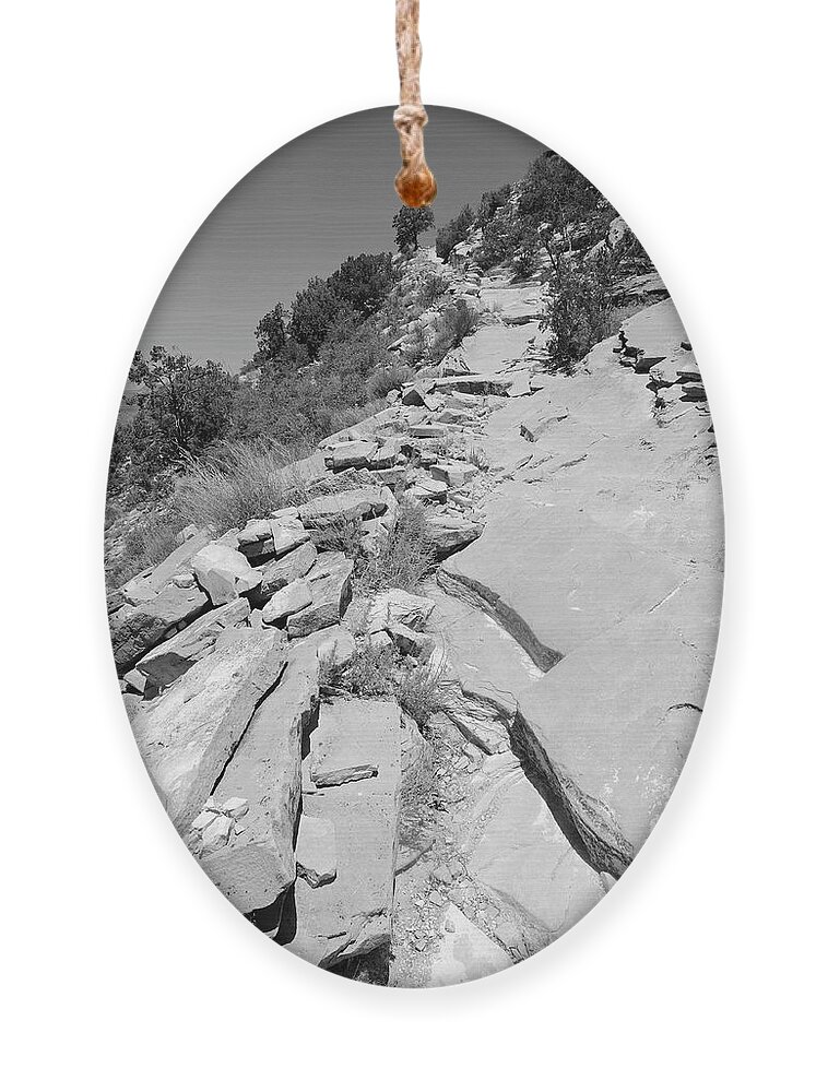Trail Ornament featuring the photograph Looking Up the Hermit's Rest Trail BW by Julie Niemela