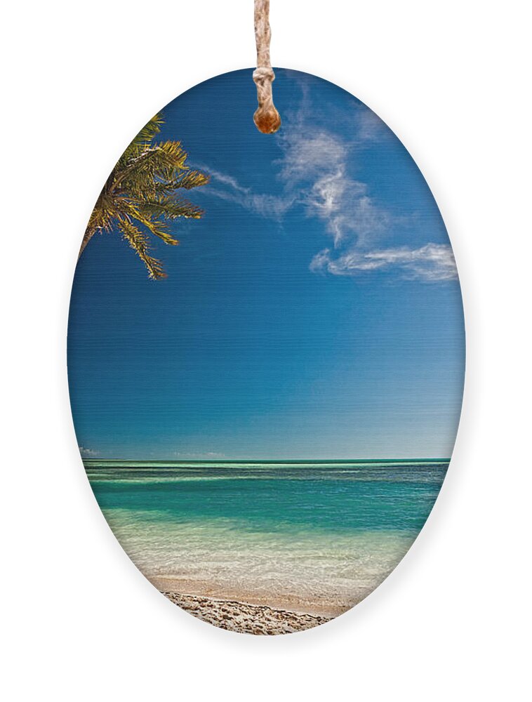 Palm Ornament featuring the photograph Palm On Coco Cay by Christopher Holmes