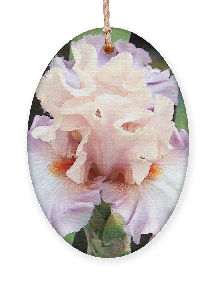 Iris Ornament featuring the photograph Pastel Variations by Dorrene BrownButterfield